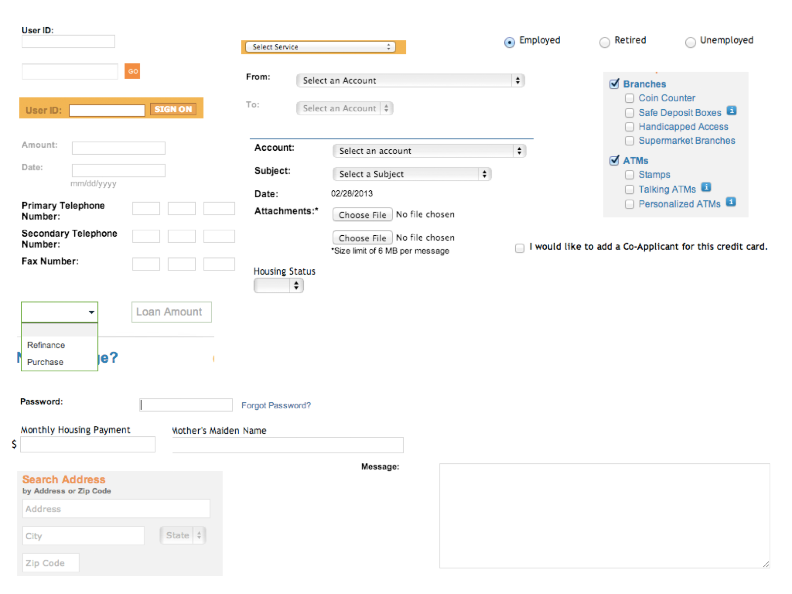 An example of various form elements captured in an interface inventory for a major bank's website.